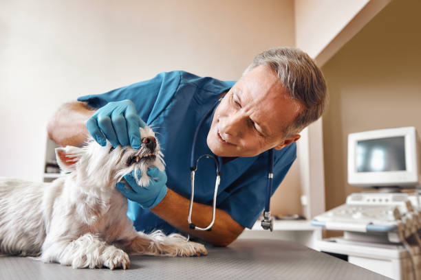Best Dental Abscess Treatment in Kilgore, TX